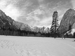 20110220-21_Yosemite 110